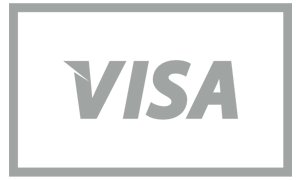 Visa dankort betaling